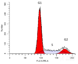 细胞周期检测